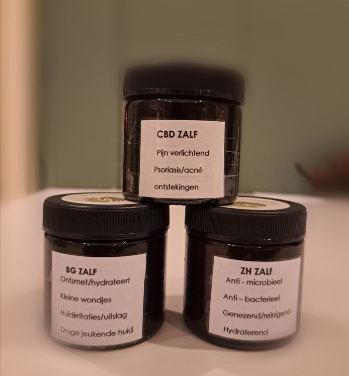 {{brizy_dc_image_alt imageSrc=