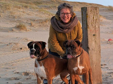 {{brizy_dc_image_alt entityId=