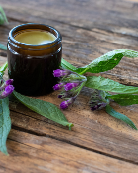 {{brizy_dc_image_alt imageSrc=